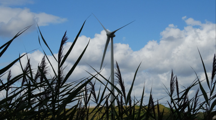 Windmolen